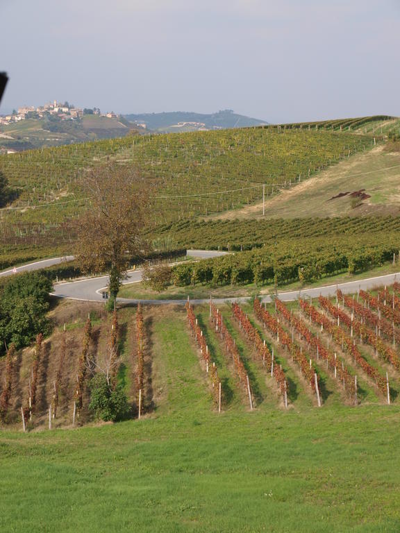 La Terrazza Del Barbaresco Bed and Breakfast Neviglie Εξωτερικό φωτογραφία