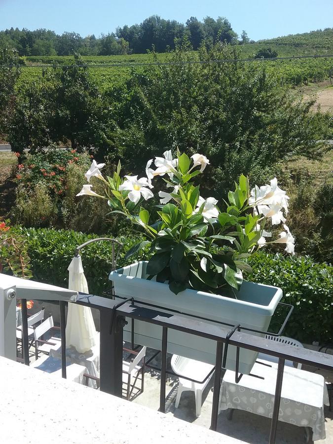 La Terrazza Del Barbaresco Bed and Breakfast Neviglie Εξωτερικό φωτογραφία