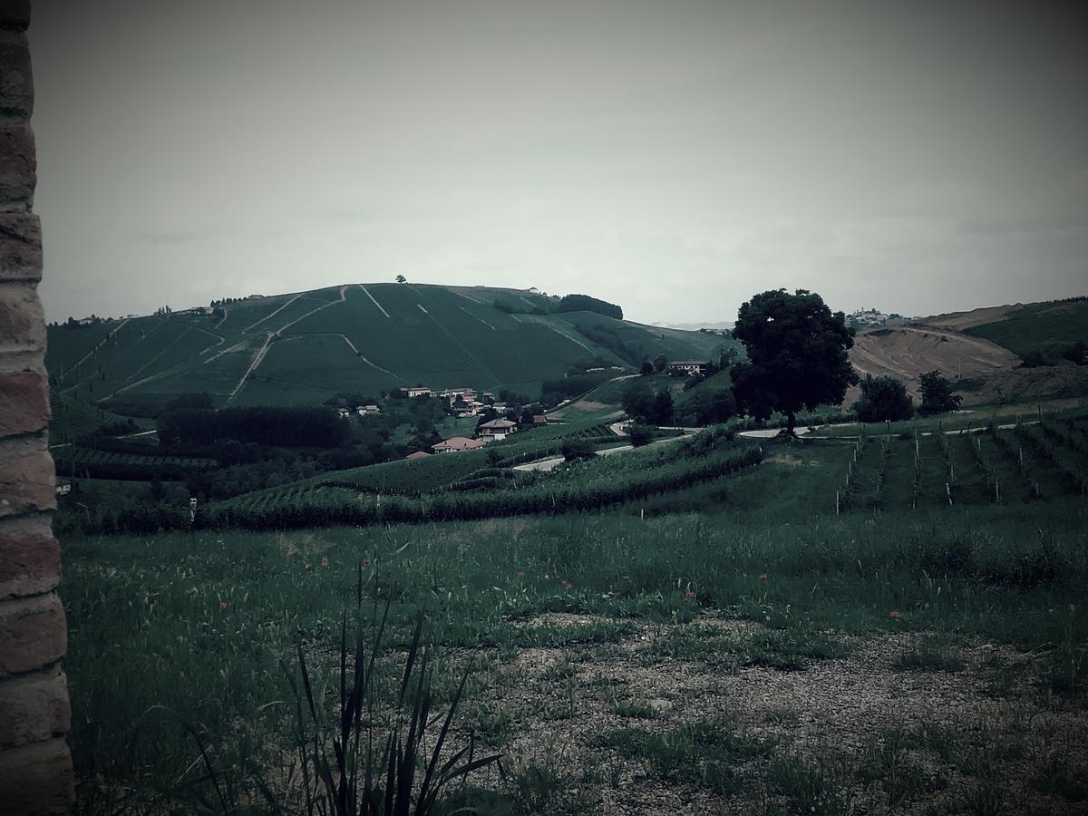 La Terrazza Del Barbaresco Bed and Breakfast Neviglie Εξωτερικό φωτογραφία