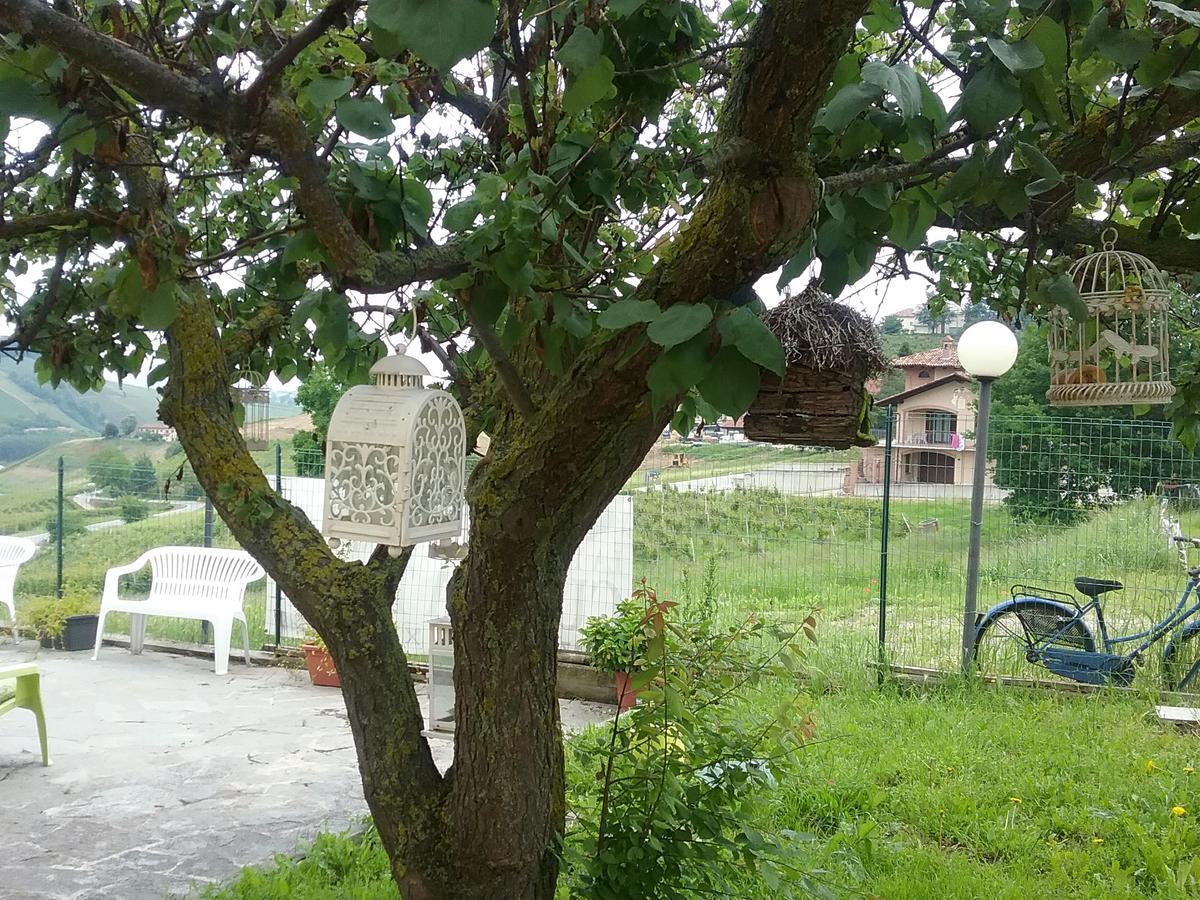 La Terrazza Del Barbaresco Bed and Breakfast Neviglie Εξωτερικό φωτογραφία
